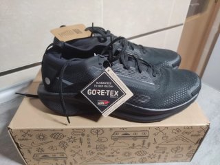 Nike Pegasus Trail 5 Gore-Tex Negro