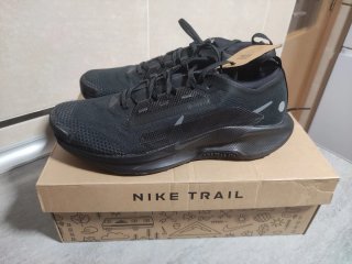 Nike Pegasus Trail 5 Gore-Tex Negro
