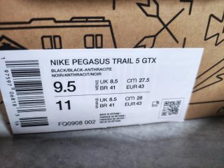 Nike Pegasus Trail 5 Gore-Tex Negro
