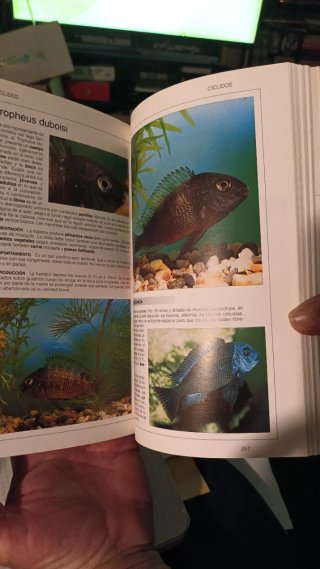 Libros sobre peces y manuales sobre acuarios