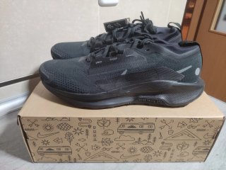 Nike Pegasus Trail 5 GORE-TEX Negro/Gris