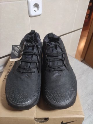 Nike Pegasus Trail 5 GORE-TEX Negro/Gris