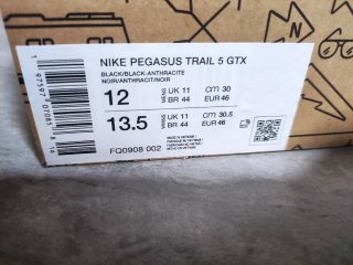 Nike Pegasus Trail 5 GORE-TEX Negro/Gris