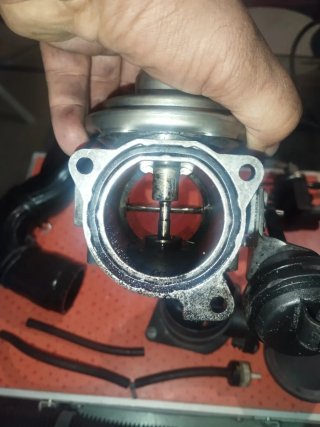 Válvula EGR Seat León MK1