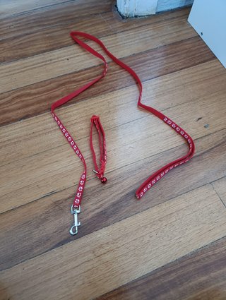 Correa y collar para mascotas con cascabel - nuevo
