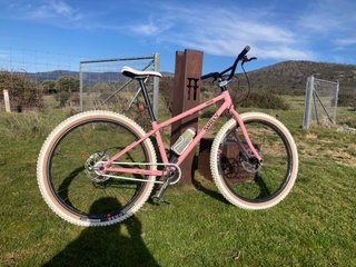 Surly Single Speed Rosa Talla S 2025