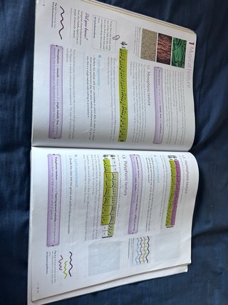 Libro Música  Secundaria