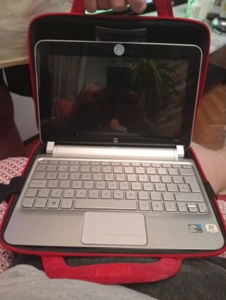 Portátil HP Mini Plateado