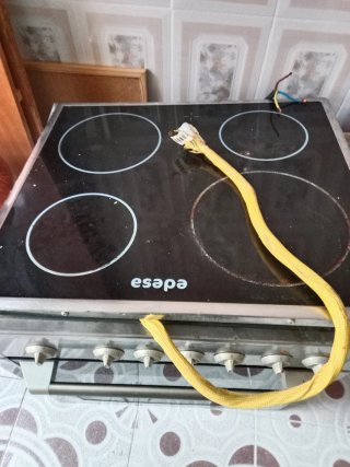 Horno y Placa de Inducción Edesa
