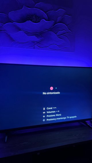 Televisor OLG 49 pulgadas