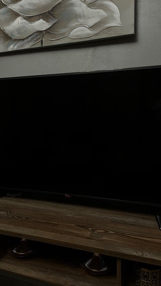 Televisor OLG 49 pulgadas