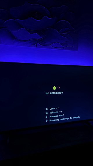 Televisor OLG 49 pulgadas