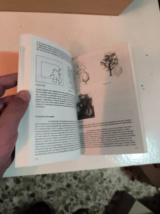 La Sintaxis de la Imagen (Spanish Edition)