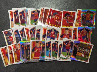 Lote de Cromos Selección Española Carrefour