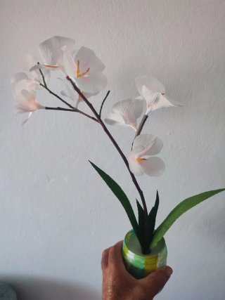 Se hacen Flores de papel Crepé de todos los colore