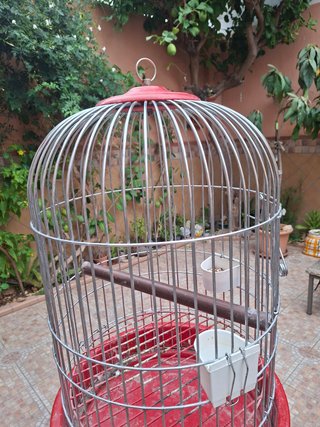 Jaula para loro