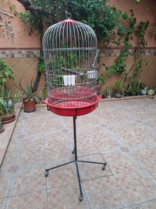 Jaula para loro