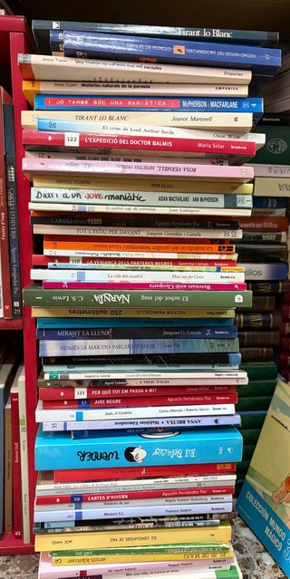 Lote de libros juveniles/infantiles en valenciano