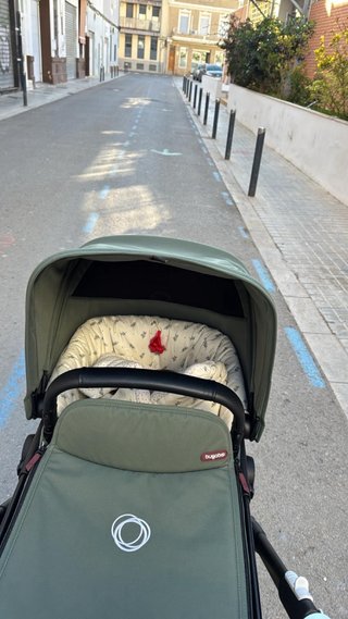 Bugaboo Fox Cub Verde
