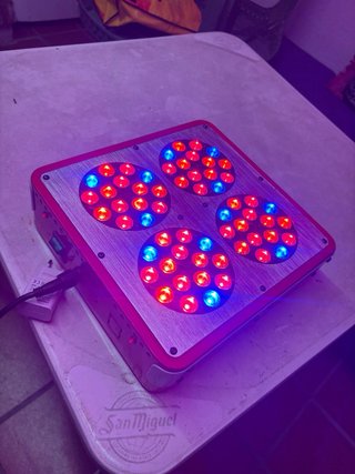 Foco LED de Iluminación