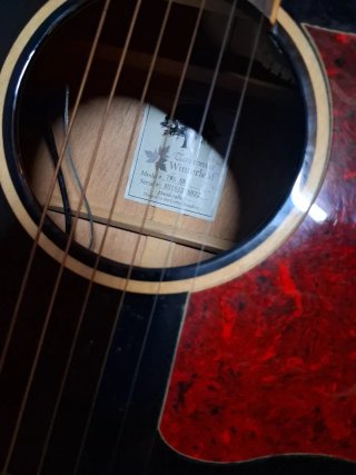 Guitarra Electroacústica Tanglewood TW5 BK