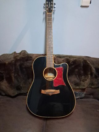 Guitarra Electroacústica Tanglewood TW5 BK