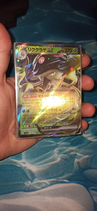 Precintadas Cartas Pokémon Holográficas