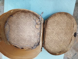 Sombrero de Copa años 20 Talla 59 + Sombrerera