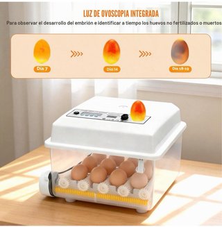 Incubadora para 16 huevos