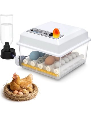 Incubadora para 16 huevos