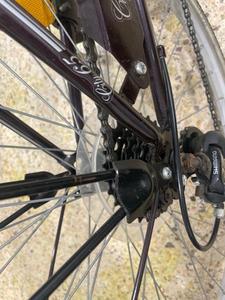 Bicicleta Urbana Mujer Cesta Marrón