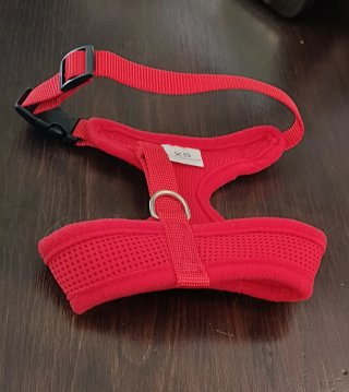 Set accessori cane/gatto