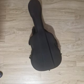 Funda de Guitarra Rígida