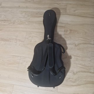 Funda de Guitarra Rígida