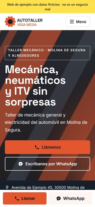 Web profesional para tu negocio · 490 €