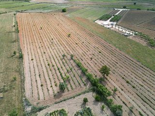 Terreno en venta en Pinós