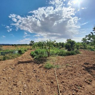 Terreno en venta en Pinós
