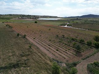 Terreno en venta en Pinós