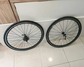 Bicicleta KUOTA Carbono Talla L