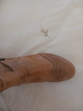 Botas Altas de Piel Marrones