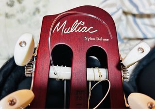 Guitarra Godin Nylon Deluxe inconseguible
