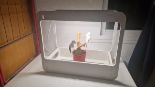 Módulo Cultivo LED IKEA KRYDDA/VÄXER