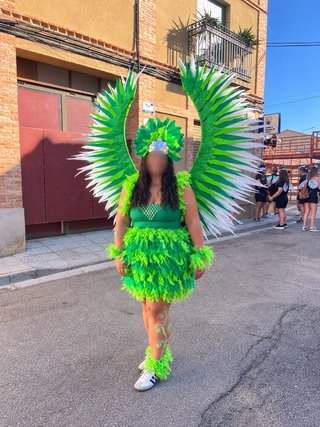 Alas de disfraz Carnaval plumas