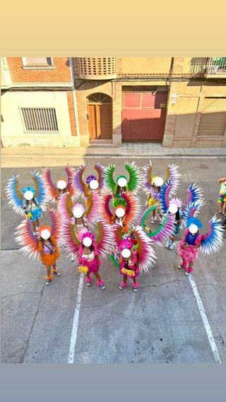 Alas de disfraz Carnaval plumas