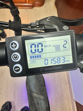 Patinete Eléctrico (Smartgyro rockway)