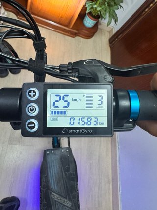 Patinete Eléctrico (Smartgyro rockway)