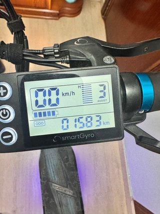Patinete Eléctrico (Smartgyro rockway)