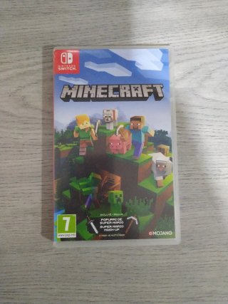 Minecraft Nintendo Switch