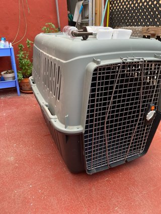 Transportín para Perro Muy Grande