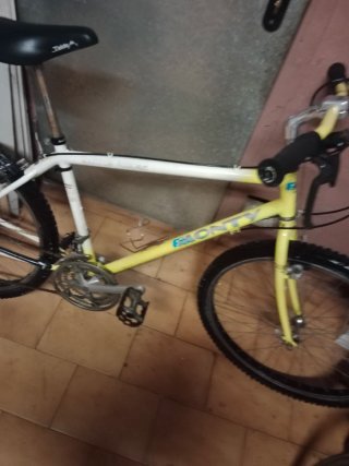 Lote de 6 Bicicletas Antiguas